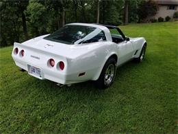 1980 Chevrolet Corvette (CC-1136775) for sale in Cambridge, Ohio