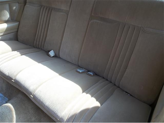 1982 Chevrolet Monte Carlo (CC-1137098) for sale in Wichita Falls, Texas