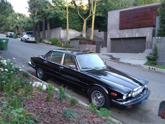 1981 Jaguar XJ (CC-1137130) for sale in Hollywood, California