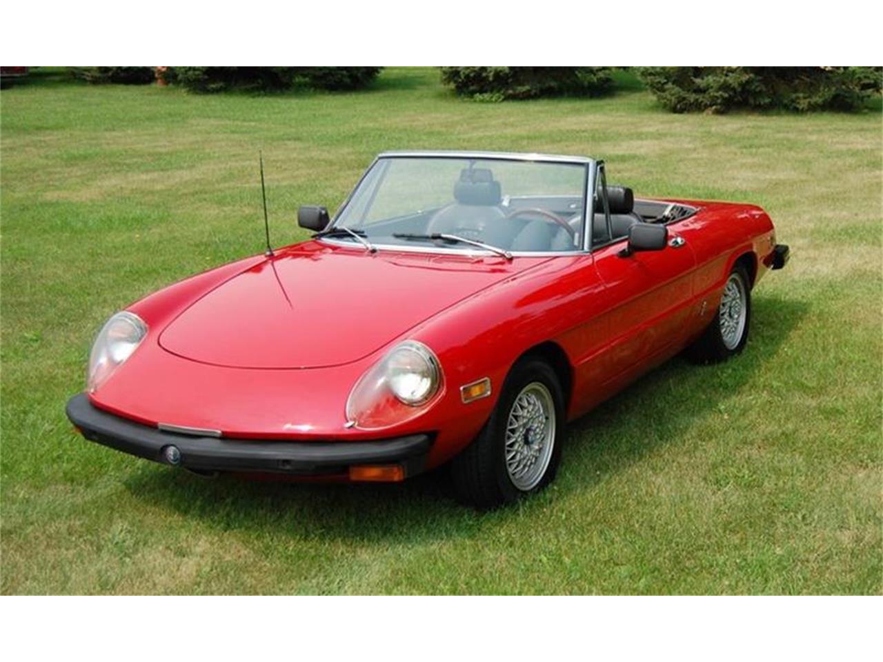 1976 Alfa Romeo Spider for Sale CC1137553