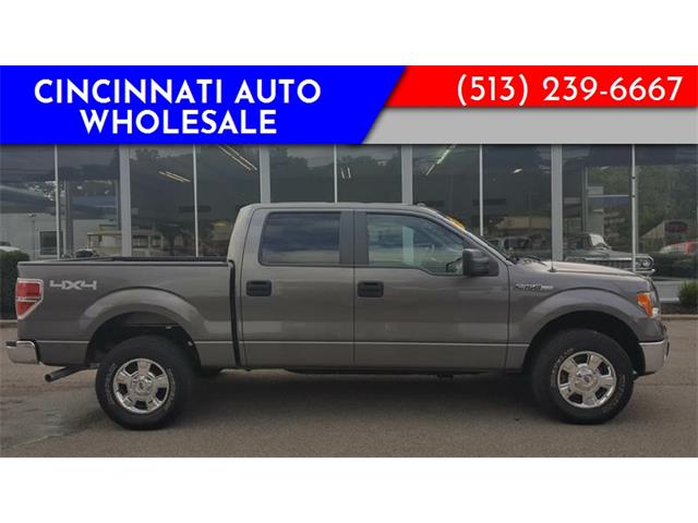 2014 Ford F150 (CC-1137567) for sale in Loveland, Ohio