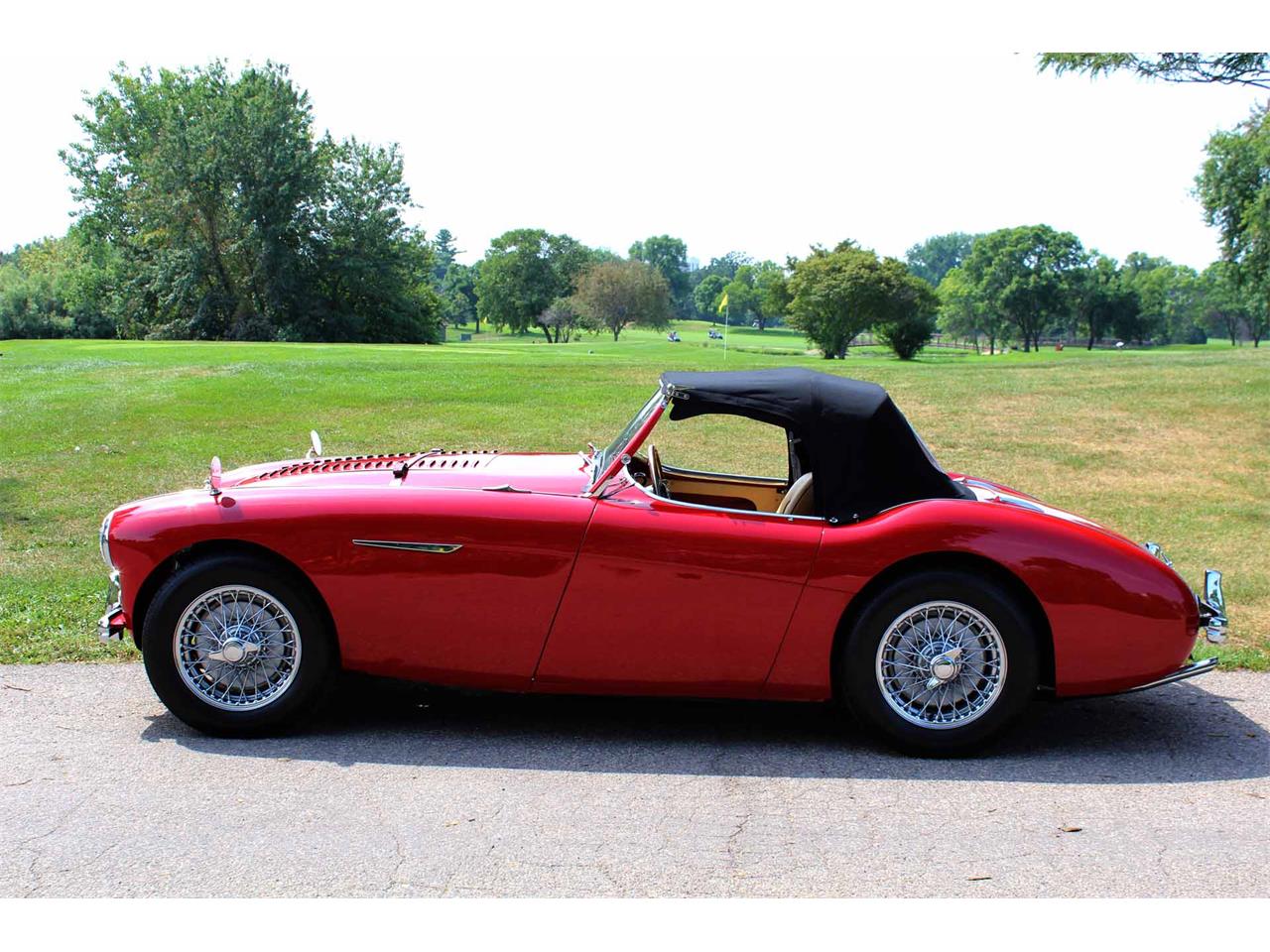 1954 Austin-Healey 100-4 for Sale | ClassicCars.com | CC-1137760