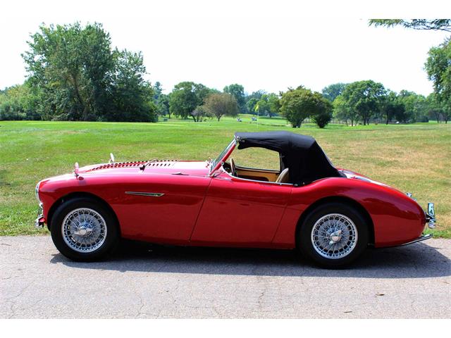 1954 Austin-Healey 100-4 (CC-1137760) for sale in Minneapolis, Minnesota