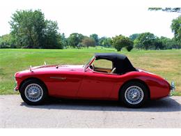 1954 Austin-Healey 100-4 (CC-1137760) for sale in Minneapolis, Minnesota