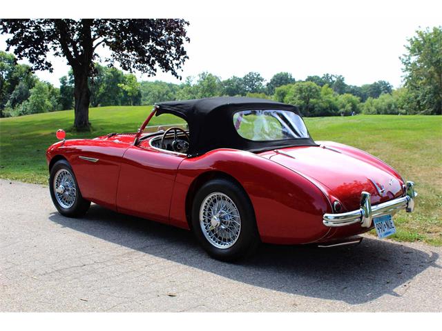 1954 Austin-Healey 100-4 (CC-1137760) for sale in Minneapolis, Minnesota