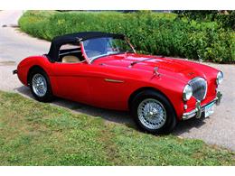 1954 Austin-Healey 100-4 (CC-1137760) for sale in Minneapolis, Minnesota