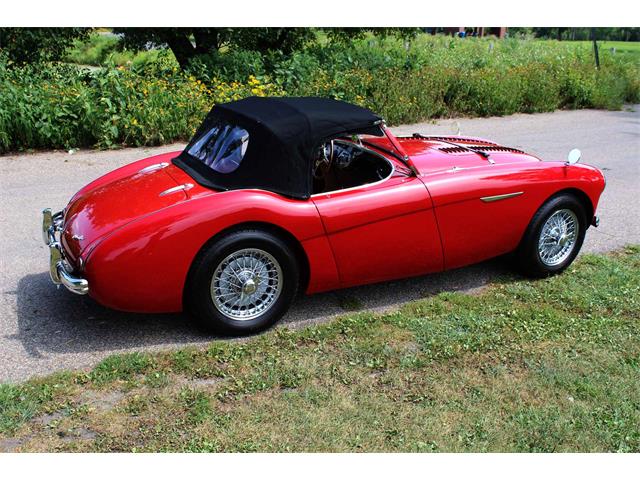 1954 Austin-Healey 100-4 (CC-1137760) for sale in Minneapolis, Minnesota