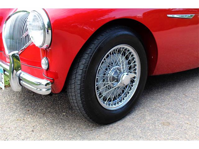 1954 Austin-Healey 100-4 (CC-1137760) for sale in Minneapolis, Minnesota