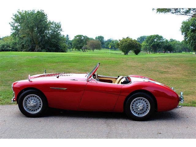 1954 Austin-Healey 100-4 (CC-1137760) for sale in Minneapolis, Minnesota