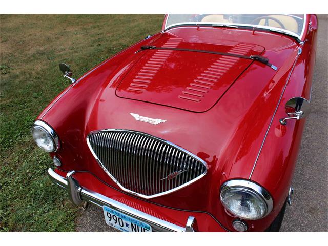 1954 Austin-Healey 100-4 (CC-1137760) for sale in Minneapolis, Minnesota