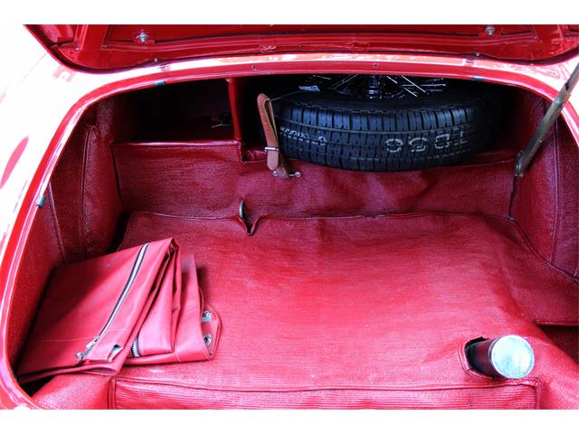 1954 Austin-Healey 100-4 (CC-1137760) for sale in Minneapolis, Minnesota