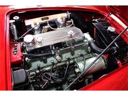 1954 Austin-Healey 100-4 (CC-1137760) for sale in Minneapolis, Minnesota