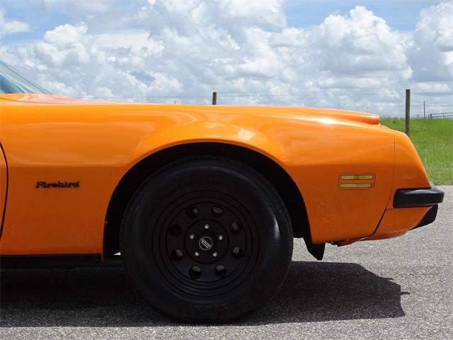1974 Pontiac Firebird (CC-1139627) for sale in Ruskin, Florida