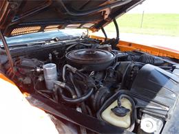 1974 Pontiac Firebird (CC-1139627) for sale in Ruskin, Florida