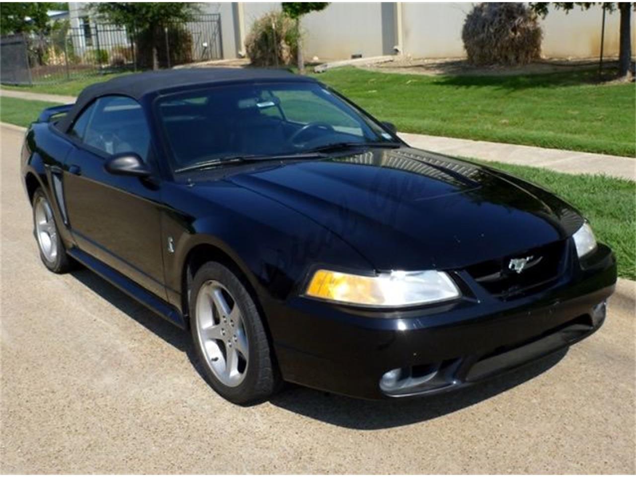 1999 Ford Mustang Cobra For Sale Classiccars Com Cc 1139716