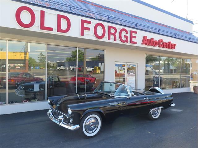 1956 Ford Thunderbird (CC-1139778) for sale in Lansdale, Pennsylvania