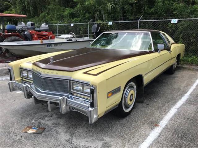 1977 Cadillac Eldorado (CC-1141001) for sale in Altamonte Springs, Florida