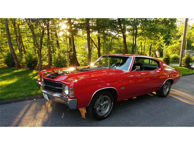 1971 Chevrolet Chevelle SS (CC-1141176) for sale in Clarksburg, Maryland
