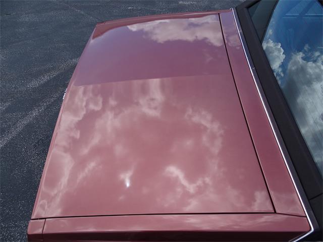 1987 Chevrolet Caprice (CC-1141422) for sale in Lake Mary, Florida