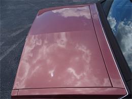 1987 Chevrolet Caprice (CC-1141422) for sale in Lake Mary, Florida