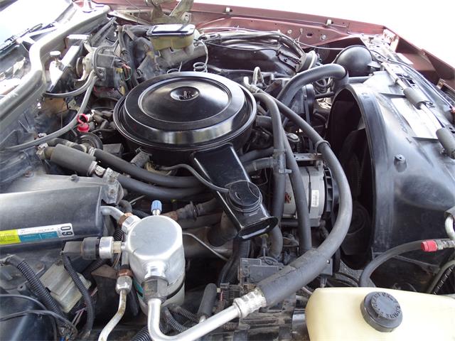 1987 Chevrolet Caprice (CC-1141422) for sale in Lake Mary, Florida