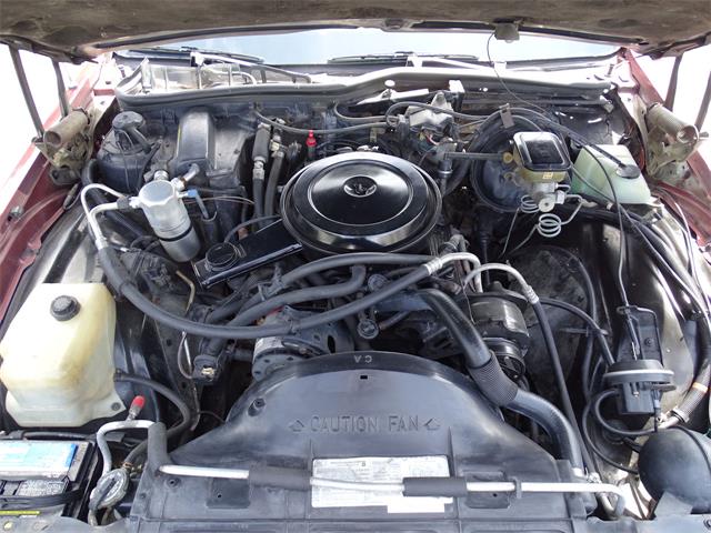 1987 Chevrolet Caprice (CC-1141422) for sale in Lake Mary, Florida