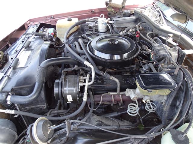 1987 Chevrolet Caprice (CC-1141422) for sale in Lake Mary, Florida