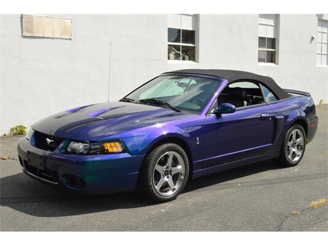 2004 Ford Mustang (CC-1141539) for sale in Springfield, Massachusetts