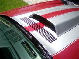 1981 Chevrolet Camaro Z28 (CC-1141589) for sale in Jacksonville, Florida