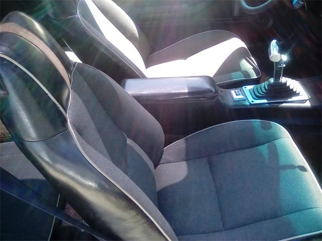 1981 Chevrolet Camaro Z28 (CC-1141589) for sale in Jacksonville, Florida