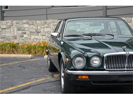 1987 Jaguar XJ6 (CC-1141652) for sale in Holland, Michigan