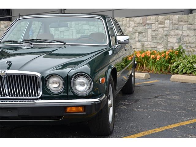 1987 Jaguar XJ6 (CC-1141652) for sale in Holland, Michigan