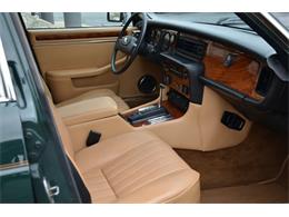 1987 Jaguar XJ6 (CC-1141652) for sale in Holland, Michigan