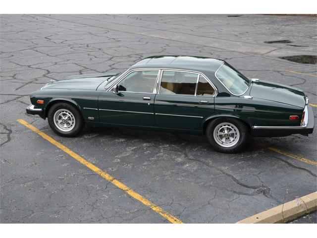 1987 Jaguar XJ6 (CC-1141652) for sale in Holland, Michigan
