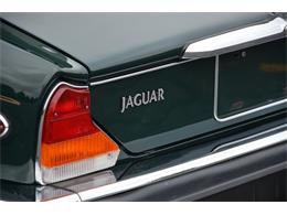 1987 Jaguar XJ6 (CC-1141652) for sale in Holland, Michigan