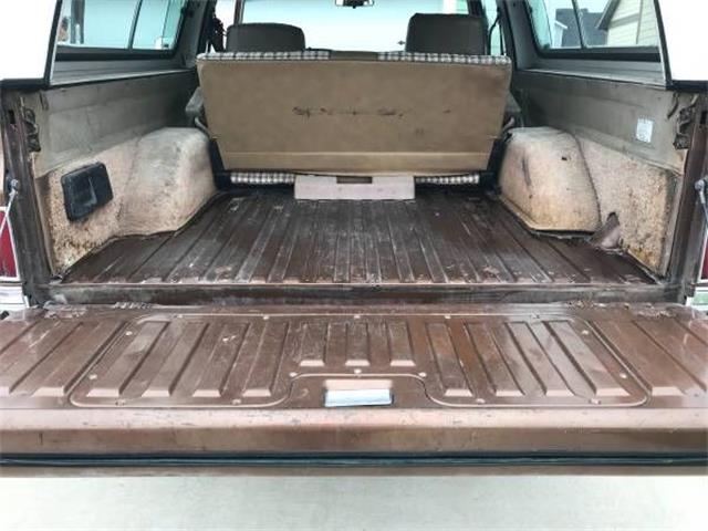 1981 Chevrolet Blazer (CC-1142284) for sale in Cadillac, Michigan