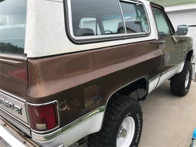 1981 Chevrolet Blazer (CC-1142284) for sale in Cadillac, Michigan