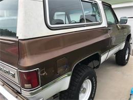 1981 Chevrolet Blazer (CC-1142284) for sale in Cadillac, Michigan