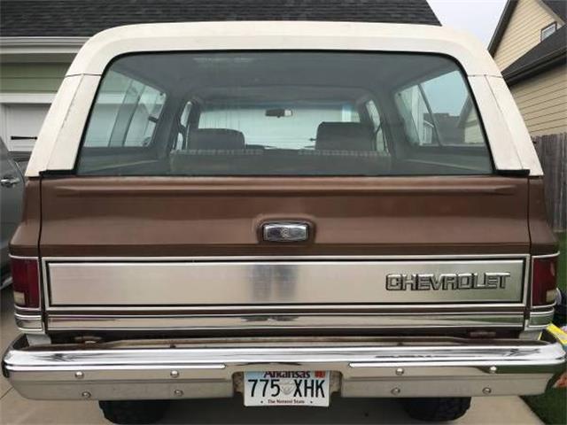 1981 Chevrolet Blazer (CC-1142284) for sale in Cadillac, Michigan