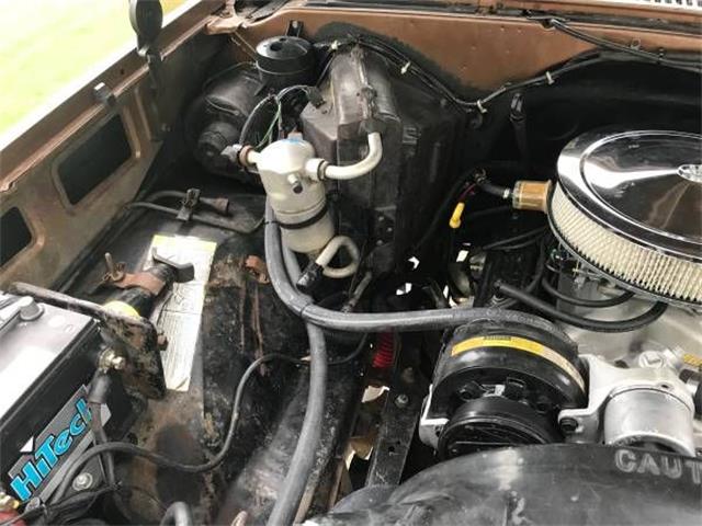 1981 Chevrolet Blazer (CC-1142284) for sale in Cadillac, Michigan