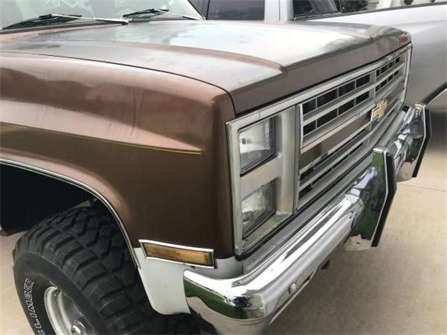 1981 Chevrolet Blazer (CC-1142284) for sale in Cadillac, Michigan