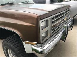 1981 Chevrolet Blazer (CC-1142284) for sale in Cadillac, Michigan