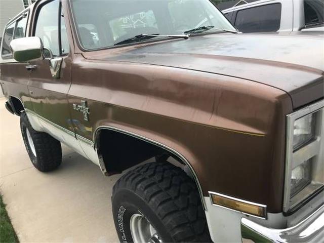 1981 Chevrolet Blazer (CC-1142284) for sale in Cadillac, Michigan