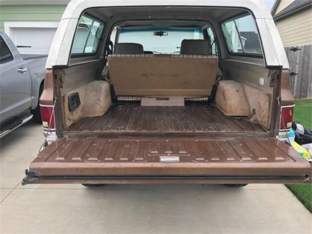 1981 Chevrolet Blazer (CC-1142284) for sale in Cadillac, Michigan