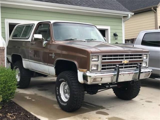 1981 Chevrolet Blazer (CC-1142284) for sale in Cadillac, Michigan