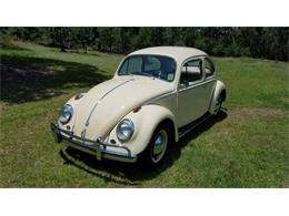 1958 Volkswagen Beetle (CC-1142288) for sale in Cadillac, Michigan