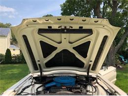 1966 Ford Thunderbird (CC-1142305) for sale in Cadillac, Michigan