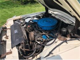 1966 Ford Thunderbird (CC-1142305) for sale in Cadillac, Michigan
