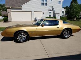 1979 Pontiac Firebird (CC-1142350) for sale in Cadillac, Michigan