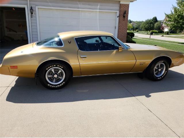 1979 Pontiac Firebird (CC-1142350) for sale in Cadillac, Michigan